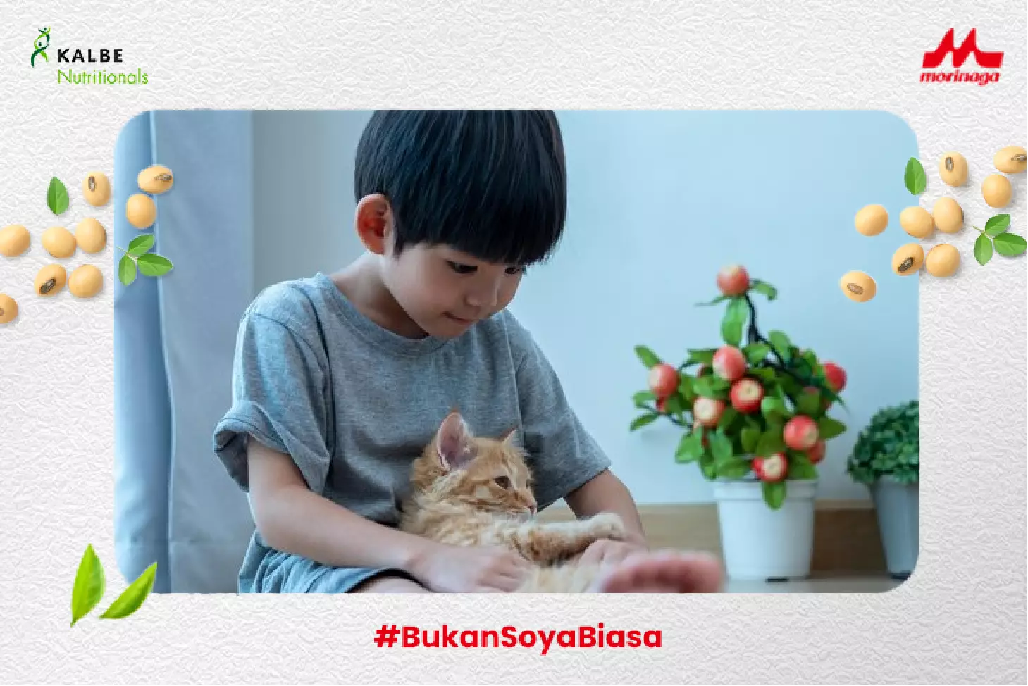 alergi kucing pada anak