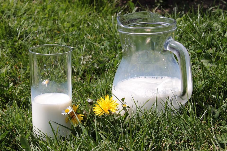 Susu Pertumbuhan Si Kecil yang Alergi Tahan Berapa Jam Setelah Diseduh? Ini Faktanya