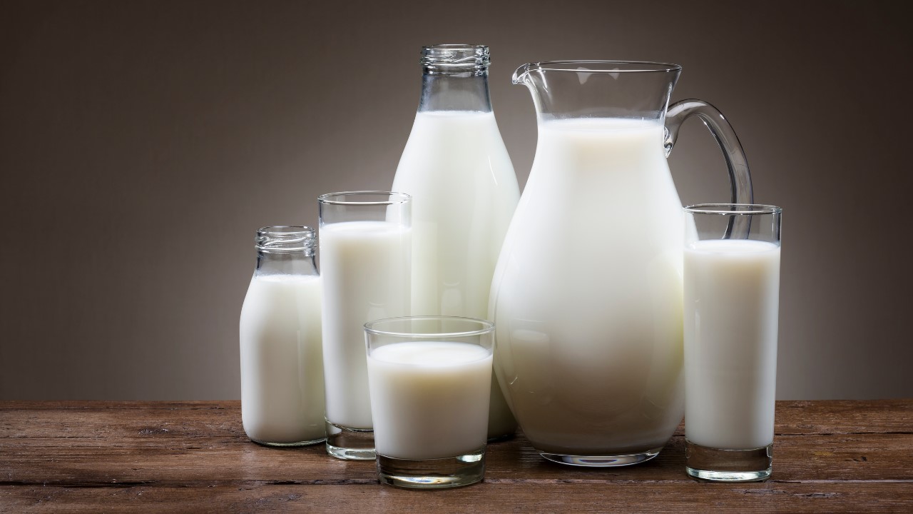 Susu untuk Anak Alergi Susu Sapi Usia 1 Tahun